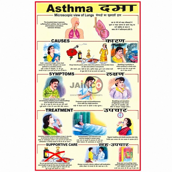 Asthma Chart